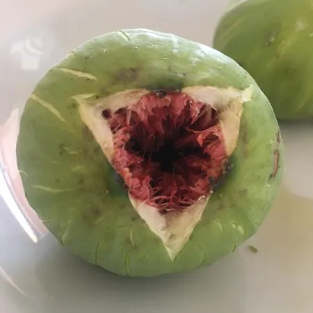 Viadelcampo Frühstückspension